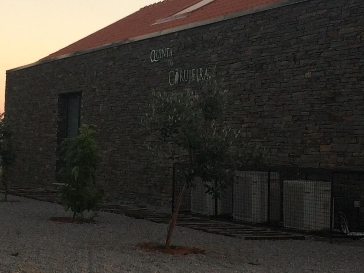 Вилла Quinta Da Corujeira Вила-Реал Экстерьер фото